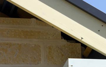 soffit repair Croxton Green